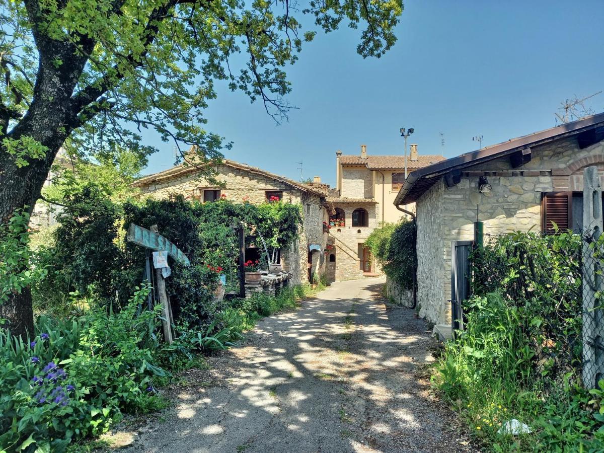 B&B Torrematta Asís Exterior foto
